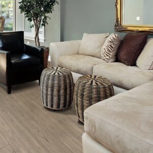 Caspian Floor