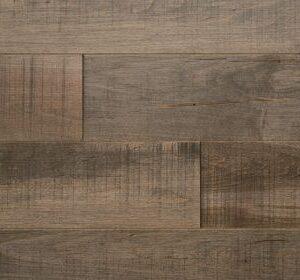 Sydney Silver Maple