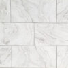 TRUSA TILE - 12X24 PORCELAIN COLLECTION