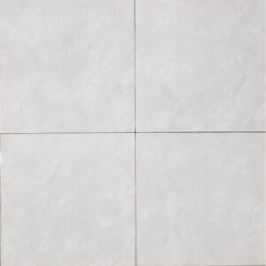 TRUSA TILE - HD PORCELAINS AND CERAMICS 18 x 18
