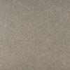 MSI SURFACES - ALMOND ROCA