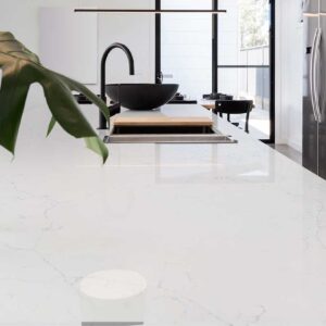 Calacatta Botanica Quartz Surface