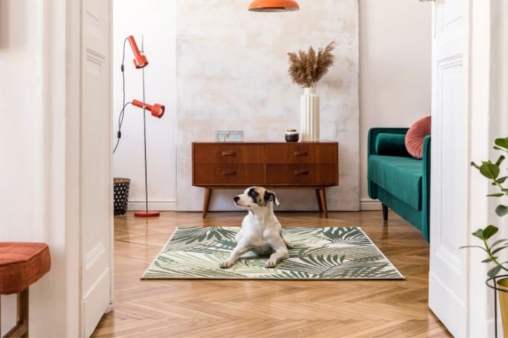 flooring store Caledon