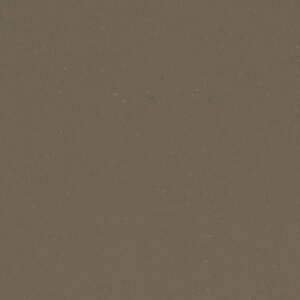 Fossil Brown MSI