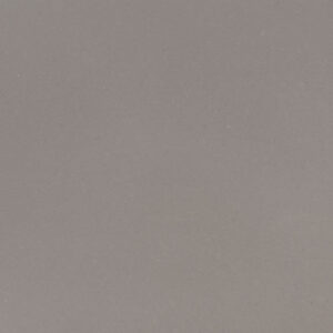 Fossil Gray
