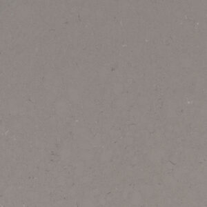 Fossil Gray MSI