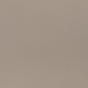 Fossil Taupe