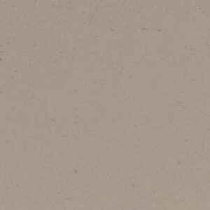 Fossil Taupe MSI