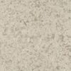 MSI SURFACES - SAHARA BEIGE