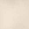 MSI SURFACES - SAHARA BEIGE