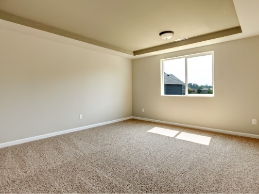 carpet
