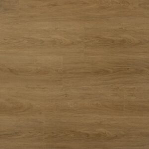 CDW219s-02