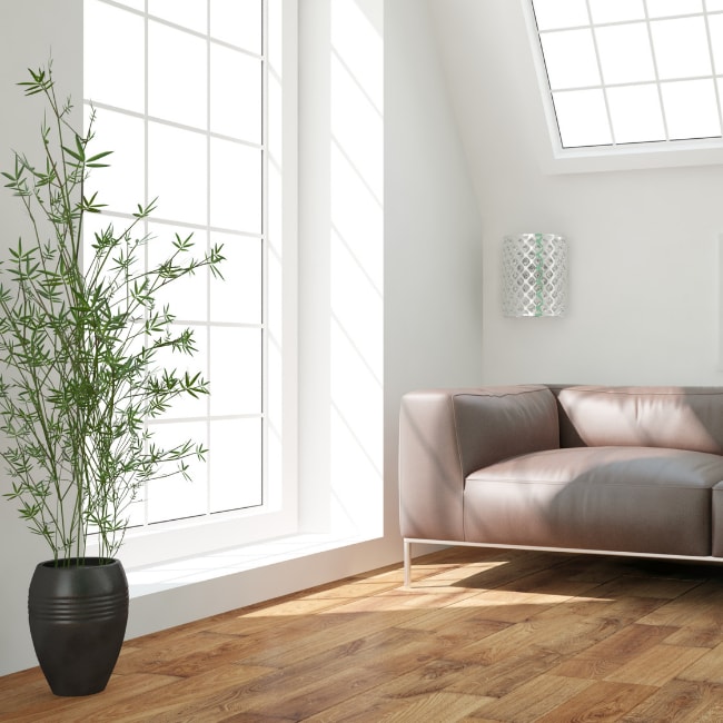 laminate flooring store near picton