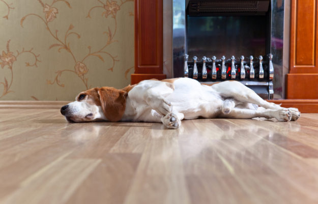 hardwood flooring hardwood flooring