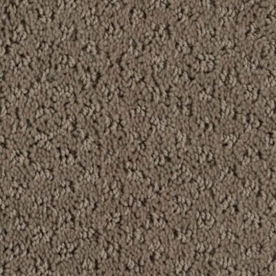burnt leaf saluki stainmaster carpet burnt leaf saluki stainmaster carpet