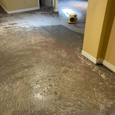 vinyl click flooring aurora03