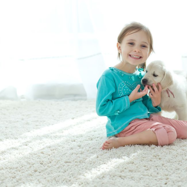 carpet eshop for Markham