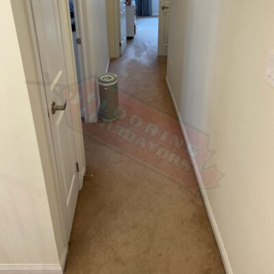 engineered hardwood replaces carpet floor