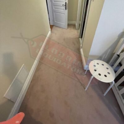 replacing carpet flooring with solid hardwood