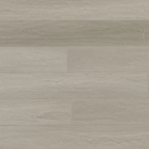 Nimbus Gray