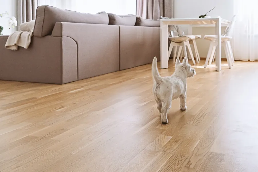 vinyl flooring for pets
