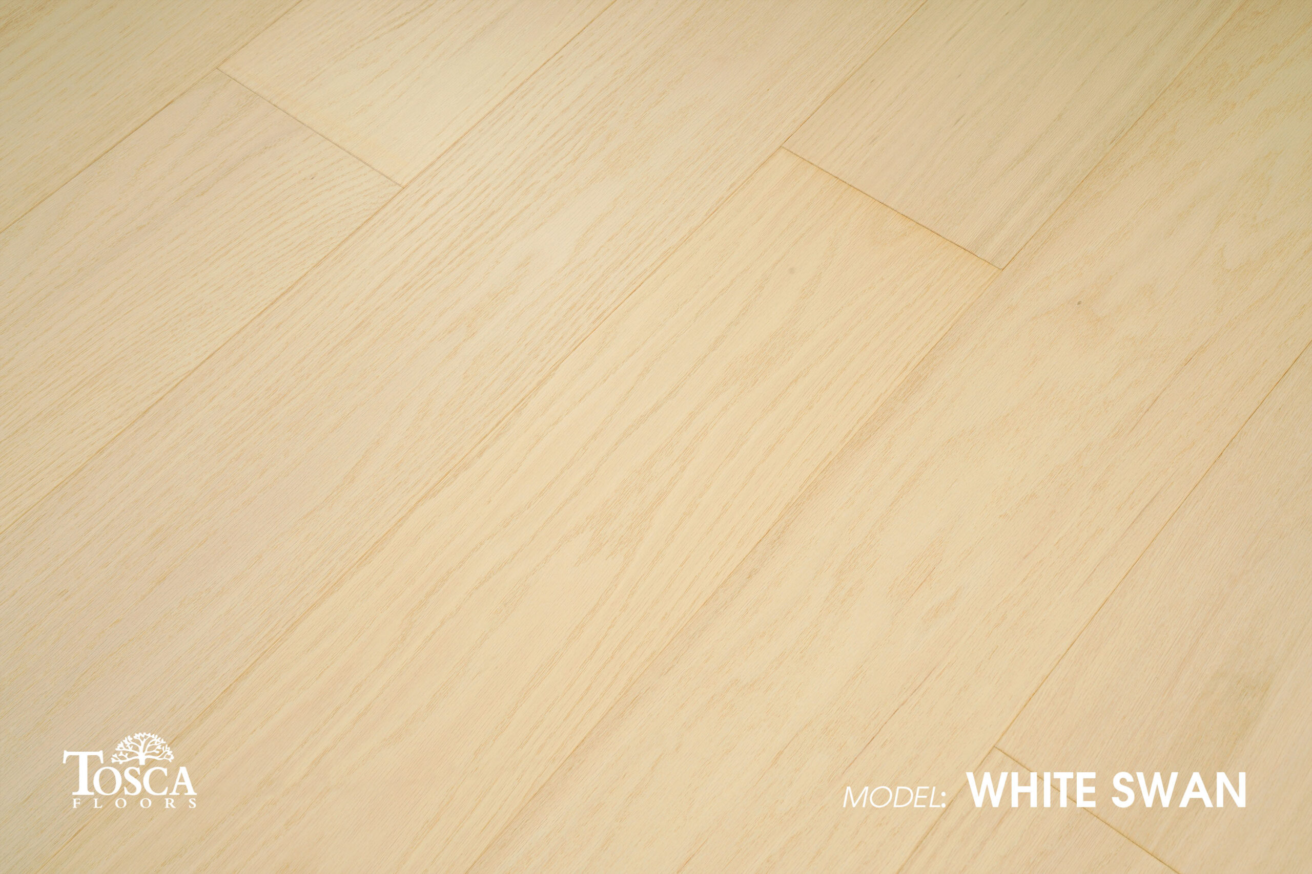 TOSCA - GLORY COLLECTION - 3/4"x7-1/2" ENGINEERED HARDWOOD TOSCA - GLORY COLLECTION - 3/4"x7-1/2" ENGINEERED HARDWOOD