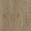 1867 - AUTHENTIC - EFFECT - 12MM - LAMINATE