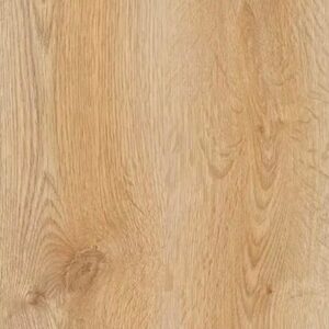 Trend Oak