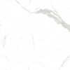 MSI SURFACES - WHITEHILL - 9" x 48" - WOODLOOK