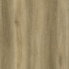 1867 - EVOLUTION ORIGIN - GLUEDOWN - 2MM - VINYL