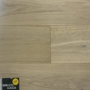 WB1371-LUCCA
