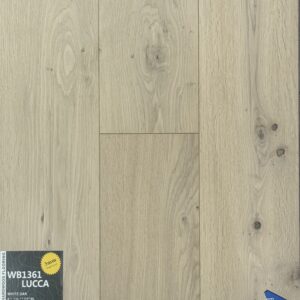 WB1361-LUCCA