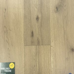 WB1363-TRANI