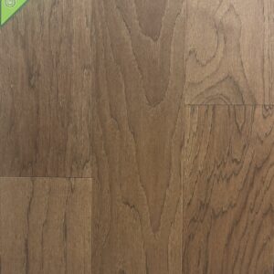 HK1334-BAYLEAF