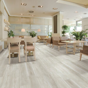 White Maple