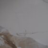 Calacatta Earth (Polished) Tile