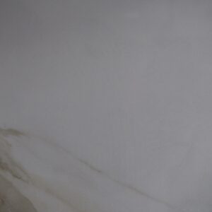 Carracatta Borghini (Polished) Tile