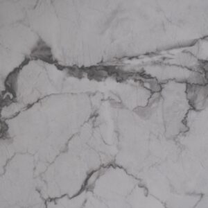 Dolphin (Polished) Tile
