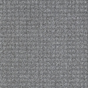 Grey Pussywillow