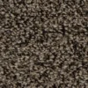Centura – Broadloom – Contrax II HD Collection