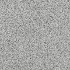 5005