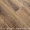 Evergreen Laminate - 14mm Premium Collection