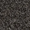 Centura – Broadloom – Contrax II HD Collection