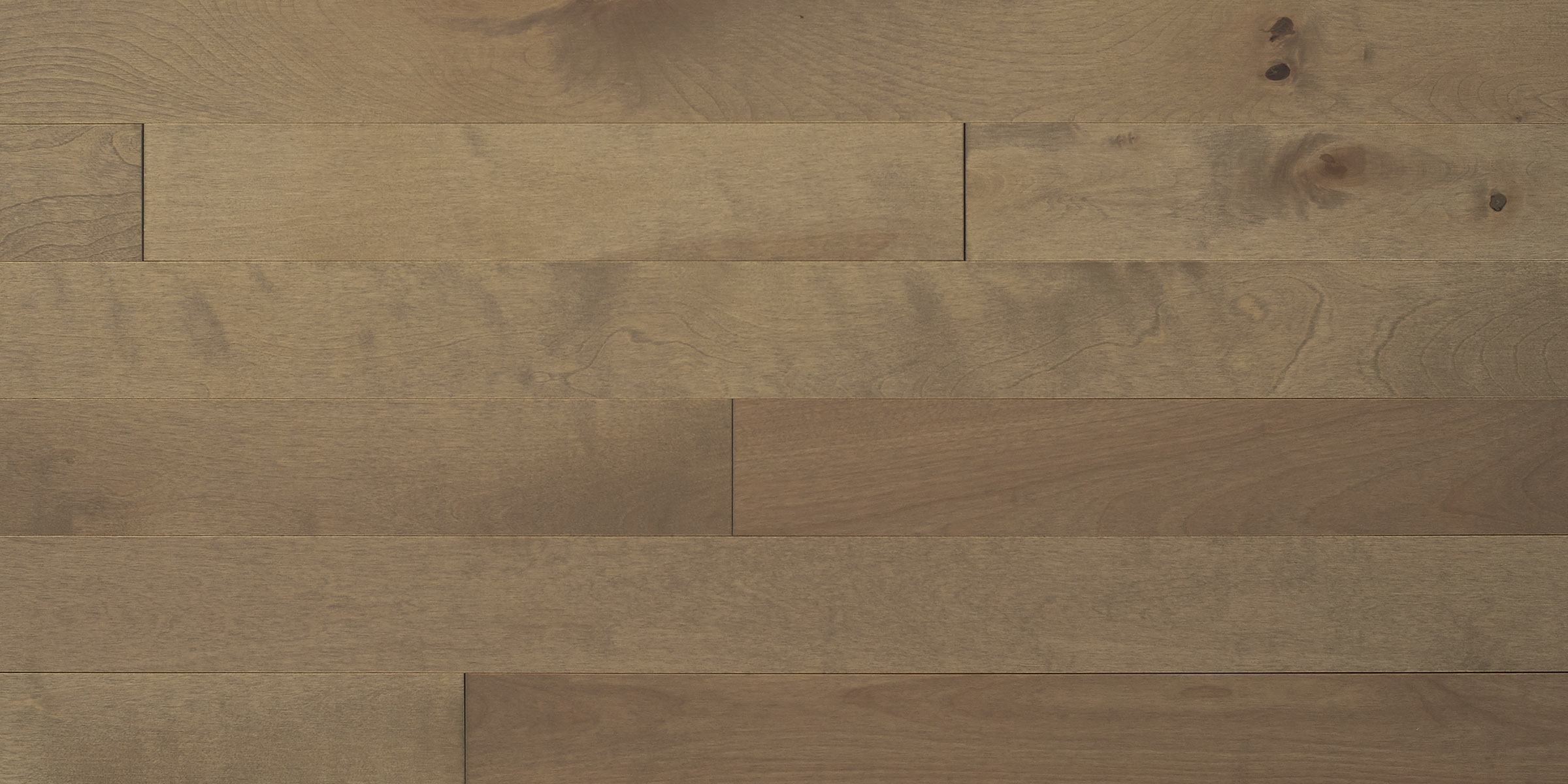 Appalachian - Yellow Birch - 4-1/4" × RL Appalachian - Yellow Birch - 4-1/4" × RL