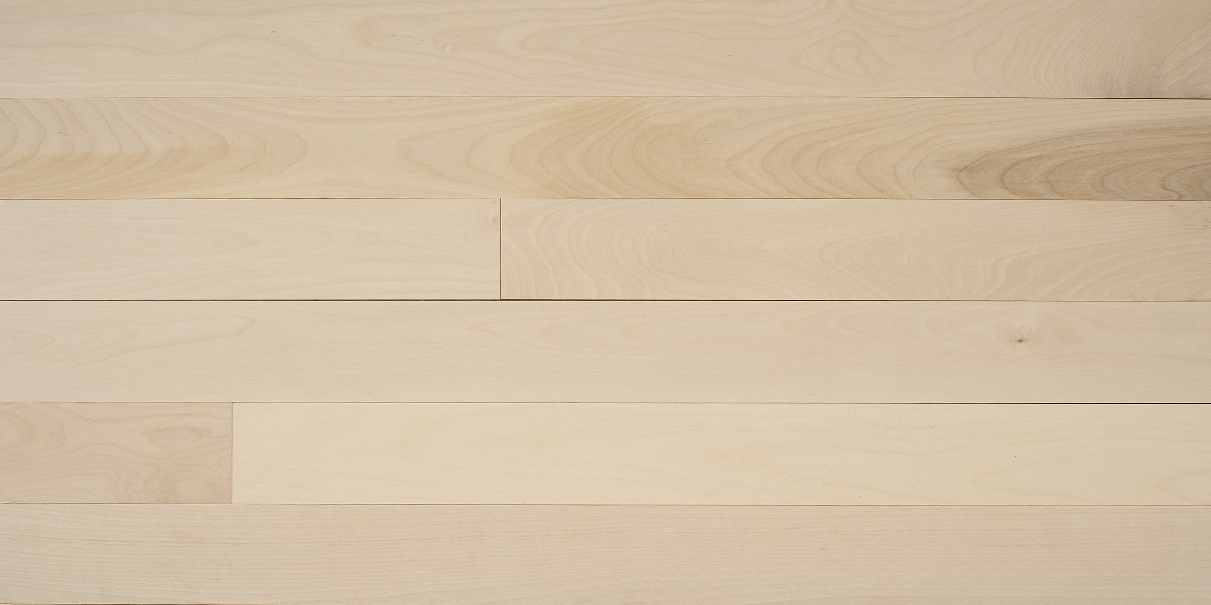 Appalachian - Yellow Birch - 4-1/4" × RL Appalachian - Yellow Birch - 4-1/4" × RL