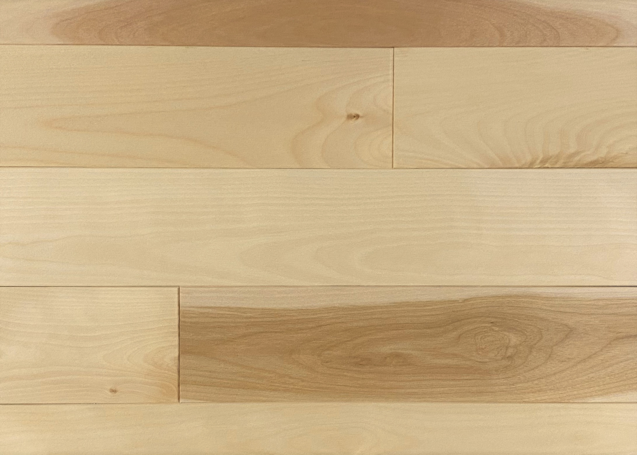 Appalachian - Yellow Birch - 4-1/4" × RL Appalachian - Yellow Birch - 4-1/4" × RL
