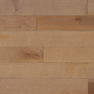 Appalachian - Yellow Birch - 4-1/4" × RL Appalachian - Yellow Birch - 4-1/4" × RL