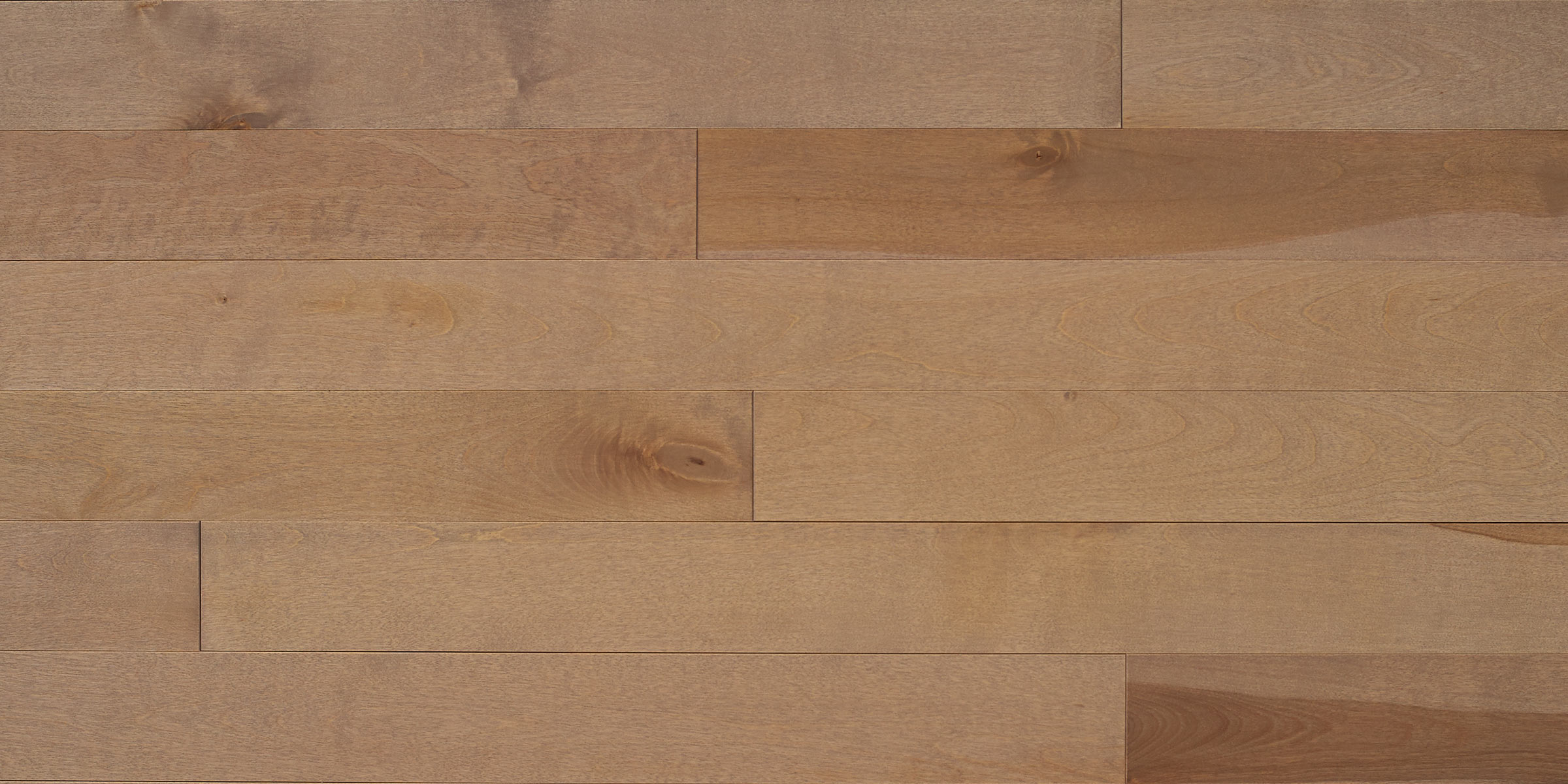 Appalachian - Yellow Birch - 4-1/4" × RL Appalachian - Yellow Birch - 4-1/4" × RL