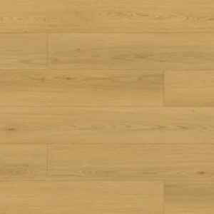 Clam Shell Oak