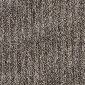 Dragon Grey